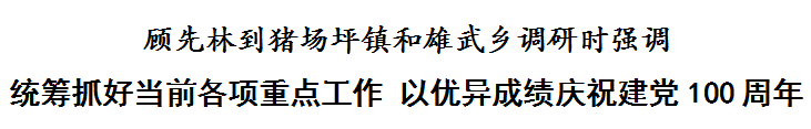 顾先林到猪场坪镇和雄武乡调研时强调 统筹抓好当前各项重点工作 以优异成绩庆祝建党100周年(图1)