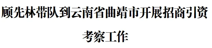 顾先林带队到云南省曲靖市开展招商引资考察工作(图1)