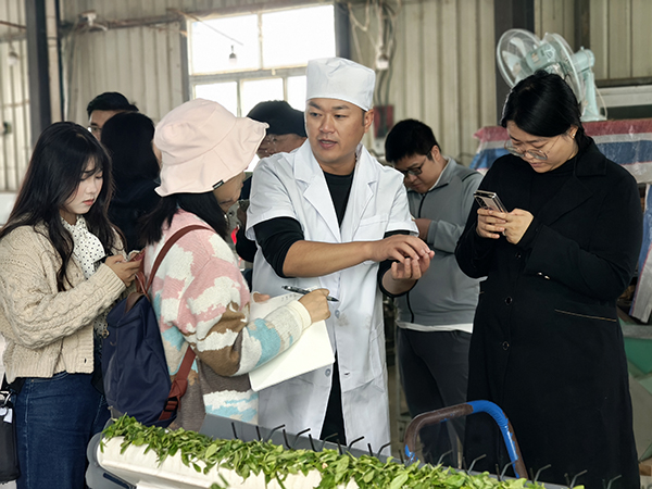 中央媒体记者到兴义市开展集中采访活动(图1)