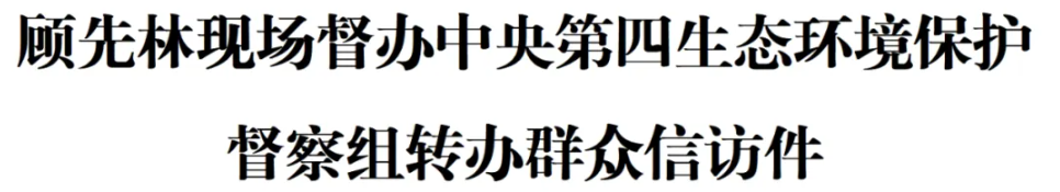 顾先林现场督办中央第四生态环境保护督察组转办群众信访件(图1)