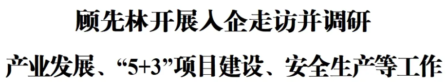 顾先林开展入企走访并调研产业发展、“5+3”项目建设、安全生产等工作(图1)